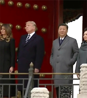 8b183ddde522631a8a5c88770d4a1a88_1510446561_7652.gif