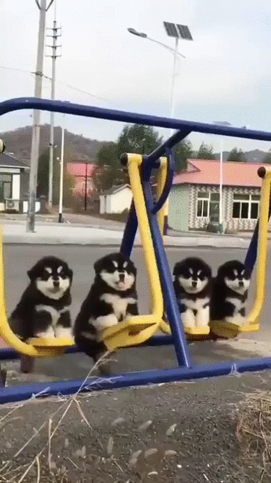 f69e765f26263f71838403164f684b16_1510469399_3012.gif
