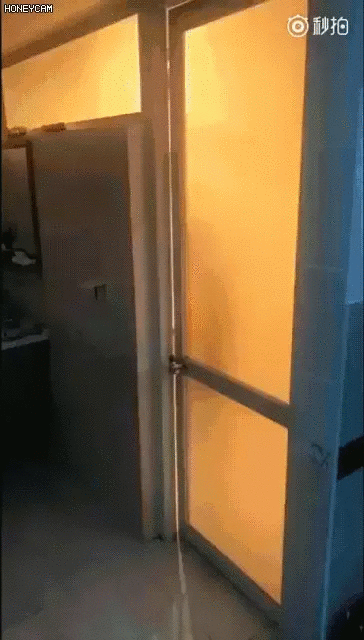 14c8154088efc3cde603bed1819a1ee8_1513818453_241.gif