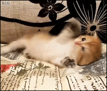 291f798e7b2ad1b05180b91292b66ae9_1513347622_5807.gif 291f798e7b2ad1b05180b91292b66ae9_1513347622_5807.gif