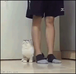 291f798e7b2ad1b05180b91292b66ae9_1513347666_1553.gif 291f798e7b2ad1b05180b91292b66ae9_1513347666_1553.gif