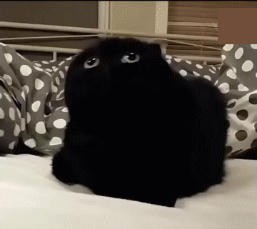 291f798e7b2ad1b05180b91292b66ae9_1513348002_9549.gif 291f798e7b2ad1b05180b91292b66ae9_1513348002_9549.gif