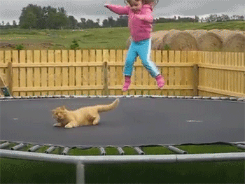 291f798e7b2ad1b05180b91292b66ae9_1513872553_1385.gif