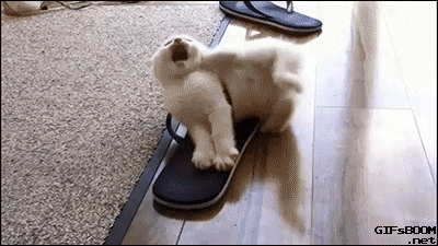 291f798e7b2ad1b05180b91292b66ae9_1513873190_3496.gif