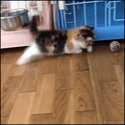 291f798e7b2ad1b05180b91292b66ae9_1514279012_072.gif 291f798e7b2ad1b05180b91292b66ae9_1514279012_072.gif