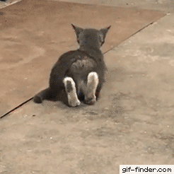 291f798e7b2ad1b05180b91292b66ae9_1514279041_5265.gif 291f798e7b2ad1b05180b91292b66ae9_1514279041_5265.gif