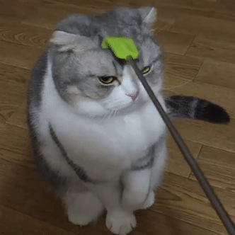 291f798e7b2ad1b05180b91292b66ae9_1514279046_4842.gif 291f798e7b2ad1b05180b91292b66ae9_1514279046_4842.gif