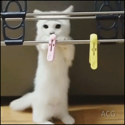 291f798e7b2ad1b05180b91292b66ae9_1514279061_0924.gif 291f798e7b2ad1b05180b91292b66ae9_1514279061_0924.gif