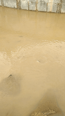 d05b7784660740a9a665bd32dfa8d4e7_1535458504_0796.gif