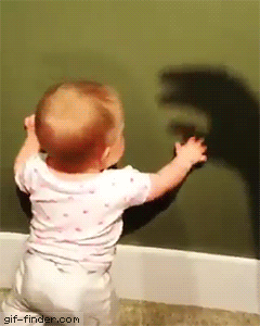 58c7236b87c6ade5c41a61c0f5c481c6_1538357659_3284.gif 58c7236b87c6ade5c41a61c0f5c481c6_1538357659_3284.gif