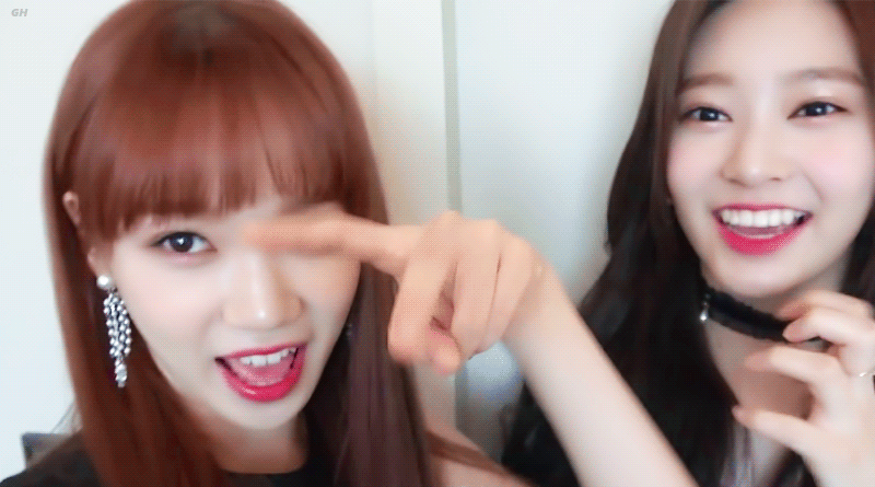 아이즈원 쌈구리