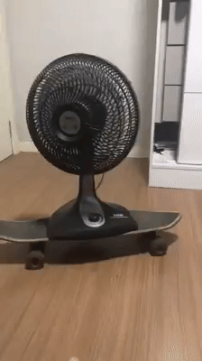 55359b6711fdc6a4c54436bcb573ab54_1548736187_0493.gif