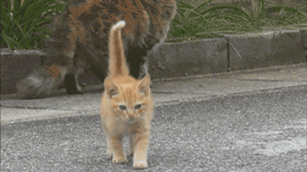 0b56a89c210eda1d8b1a73c6c1e6a7fa_1550444492_2134.gif 0b56a89c210eda1d8b1a73c6c1e6a7fa_1550444492_2134.gif