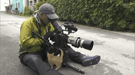 0b56a89c210eda1d8b1a73c6c1e6a7fa_1550444497_407.gif 0b56a89c210eda1d8b1a73c6c1e6a7fa_1550444497_407.gif