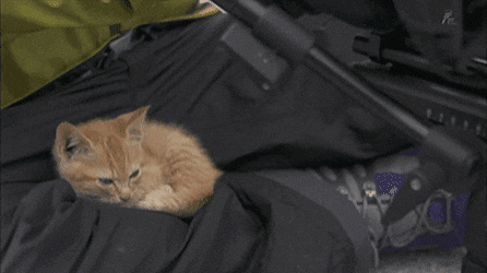 0b56a89c210eda1d8b1a73c6c1e6a7fa_1550444499_6635.gif 0b56a89c210eda1d8b1a73c6c1e6a7fa_1550444499_6635.gif