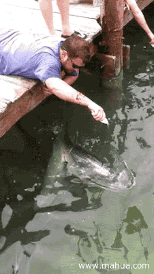 da9a7d257f3d40b2ce27fc191f50c99a_1552748574_8021.gif