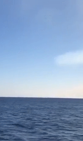 4db4999febb23c7c23a755f487f52489_1554375755_5239.gif