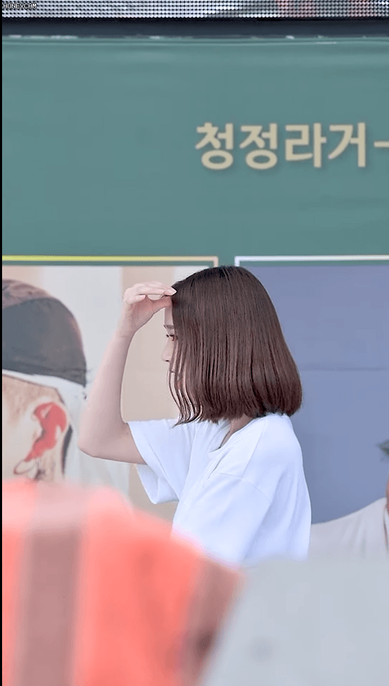 오션월드 버스터즈 지수 ,채연