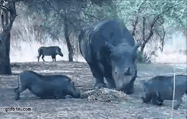 3a921205651f9256f21e9e99e8285ec9_1567575705_6605.gif