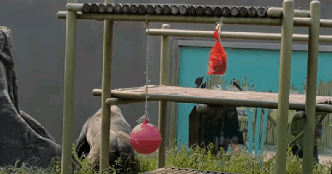 3a921205651f9256f21e9e99e8285ec9_1567575708_9979.gif