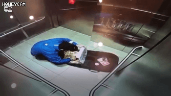 8336b0fa664a9409b6d1905838c47c03_1572410688_0776.gif 8336b0fa664a9409b6d1905838c47c03_1572410688_0776.gif