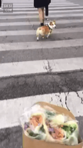 92f542bd890183514e650e8cdeda416d_1574174610_9106.gif
