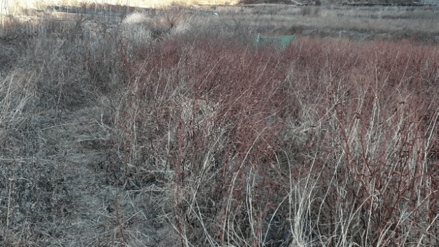 9a54e7f2b3ed16a817ac46ebf593ad7d_1611914867_1702.gif