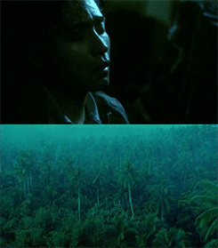 899b629a0688de18f4e2c0c765df80e0_1613740925_1115.gif 899b629a0688de18f4e2c0c765df80e0_1613740925_1115.gif