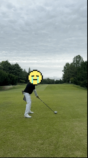 caa420138cbd97e4114fd69f7d8a558f_1747790583_1988.gif