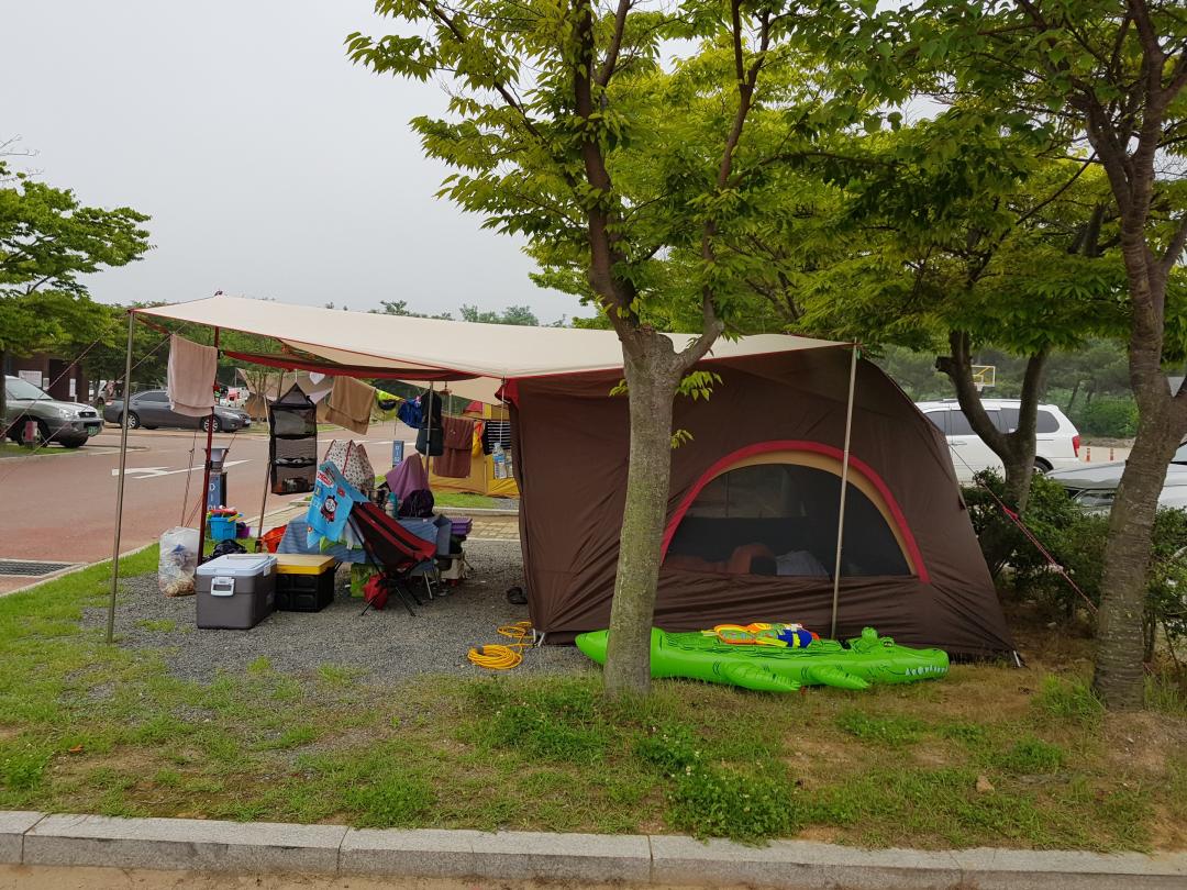 주당 신고 및 후기(사진 별로 엄슴) - 학암포 자동차 캠핑장 > 캠핑포럼... 신고 및 후기(사진 별로 엄슴) - 학암포 자동차 캠핑장 > 캠핑포럼