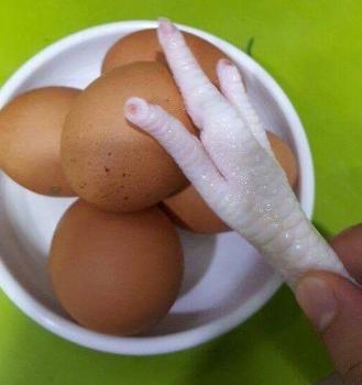 0135a72fa823133f7919a1de111a00c8_1550420