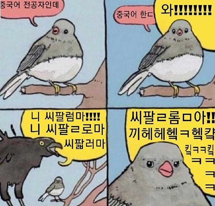 7bdf22bfb88c8840101c5e8d040648a3_1550715