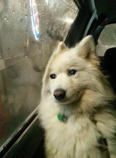 8c87eea7a0b63170ef39a024cd04b4e0_1550160