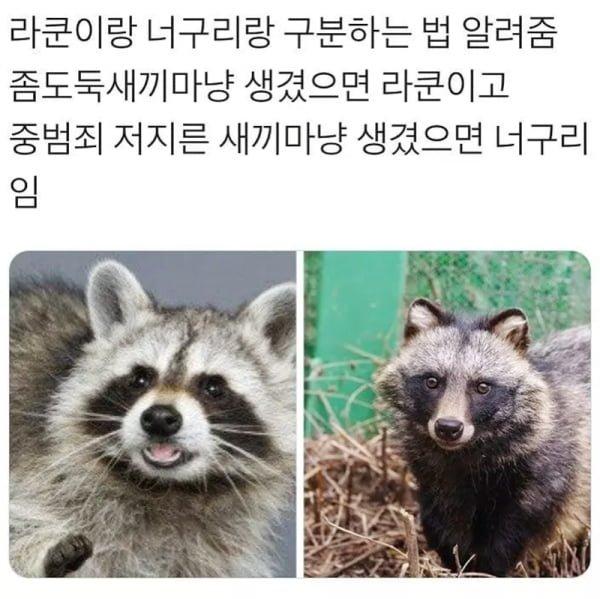 유머모음