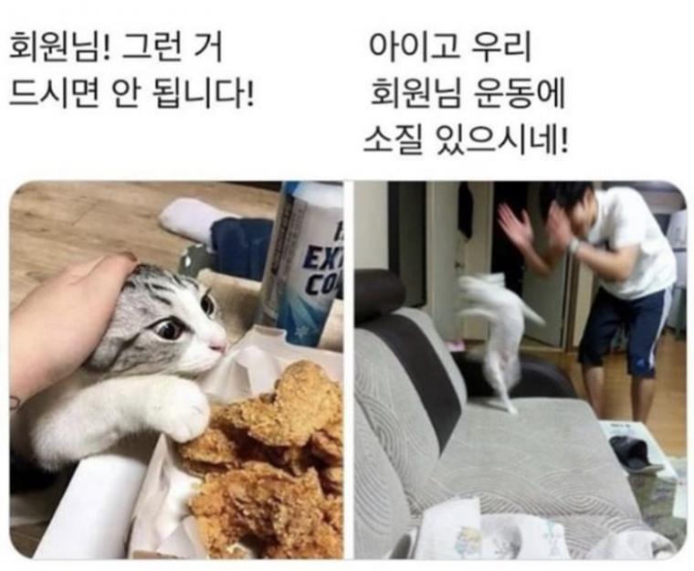 유머 개웃김 주의 ㅋㅋㅋ