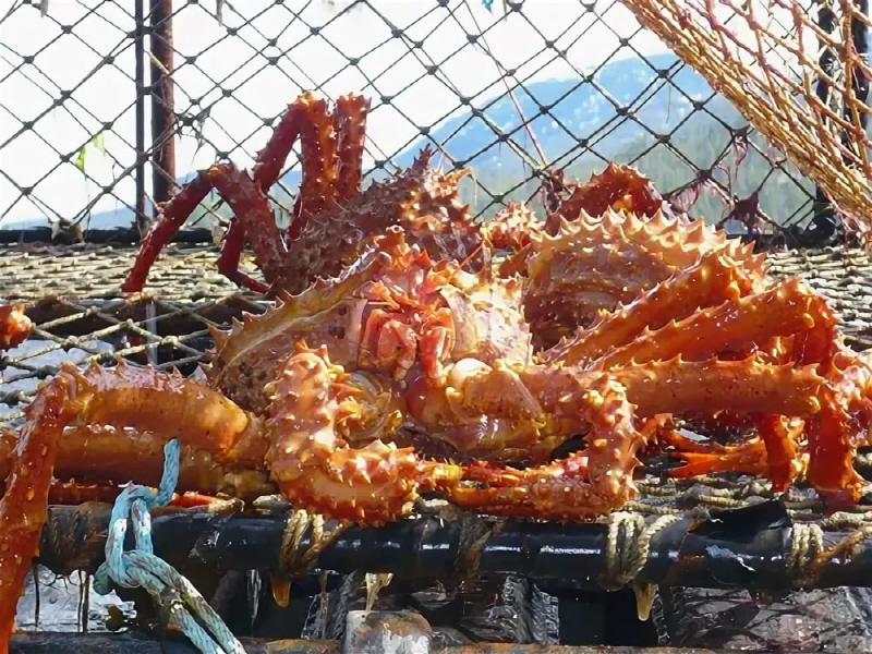 Где В Иркутске Можно Купить Краба